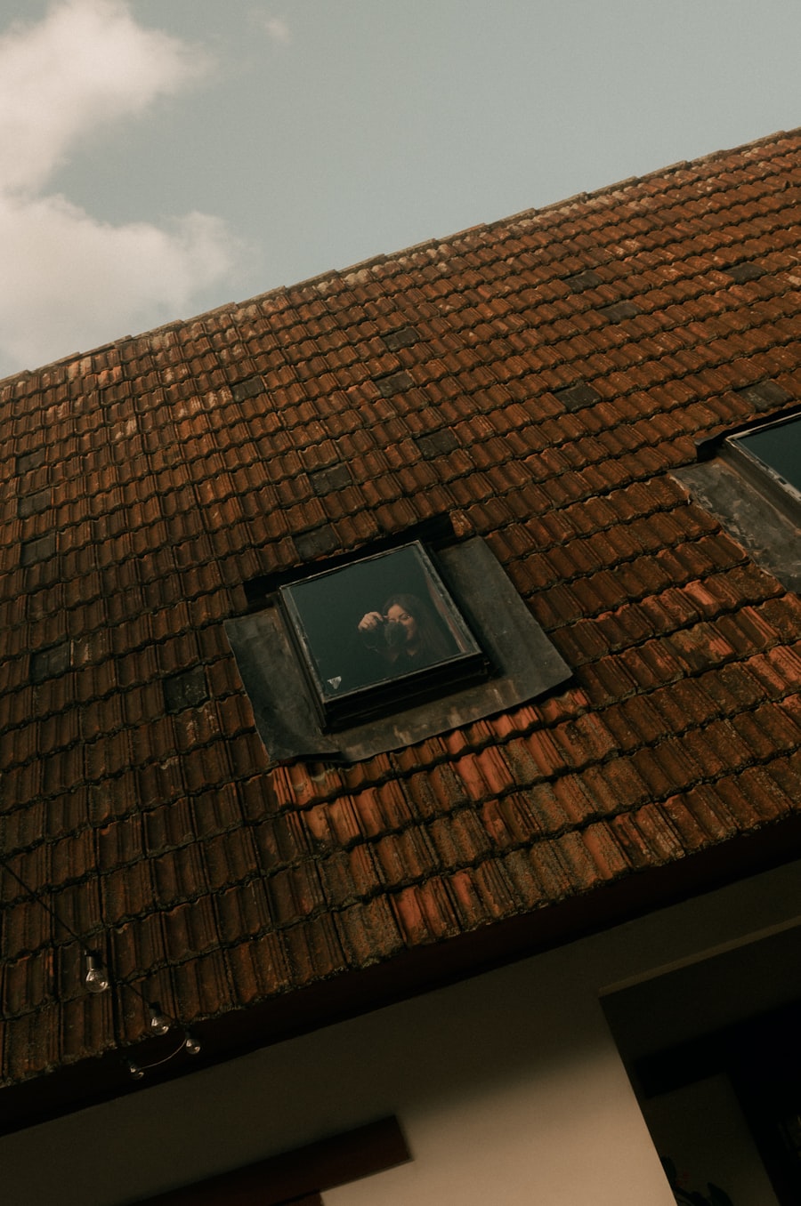 Skylight Replacement & Repairs